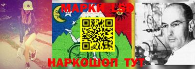 стаф Ирбит