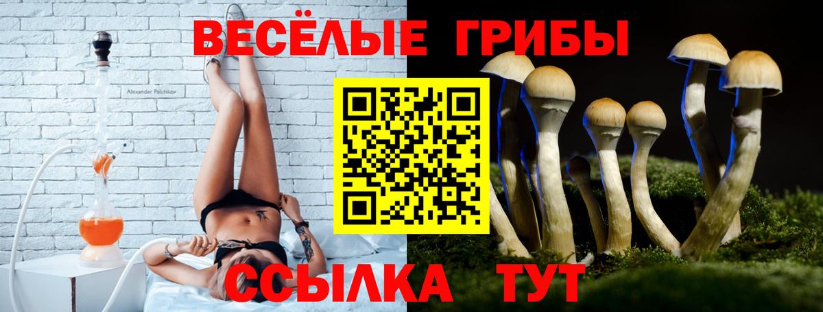 Ливны  Псилоцибиновые грибы MAGIC MUSHROOMS  Вход с VPN  Псилоцибиновые грибы ЛСД 