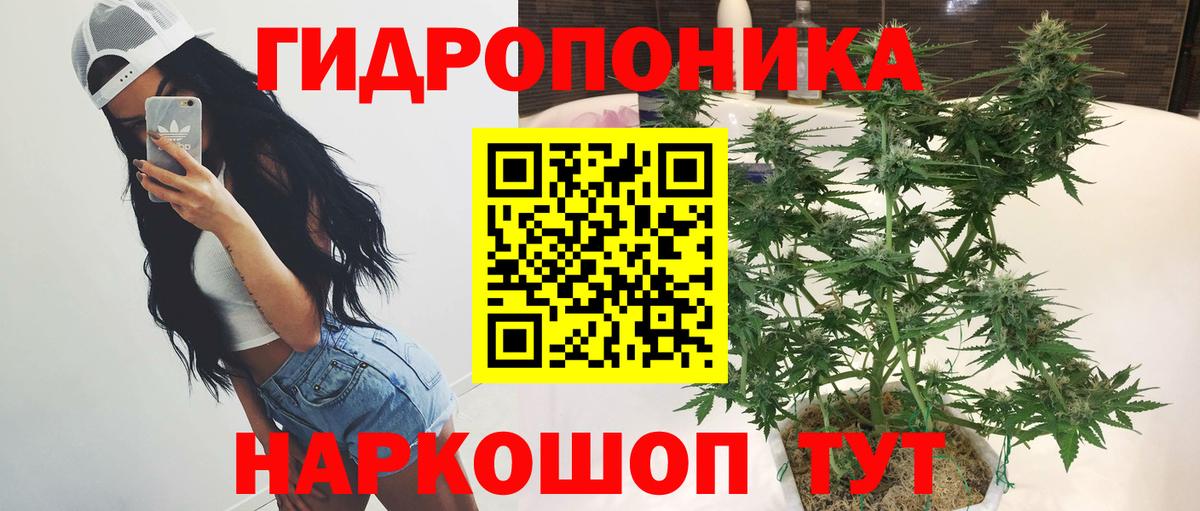 Ливны  Конопля OG Kush  Вход с VPN  Каннабис планчик  Каннабис THC 21% 